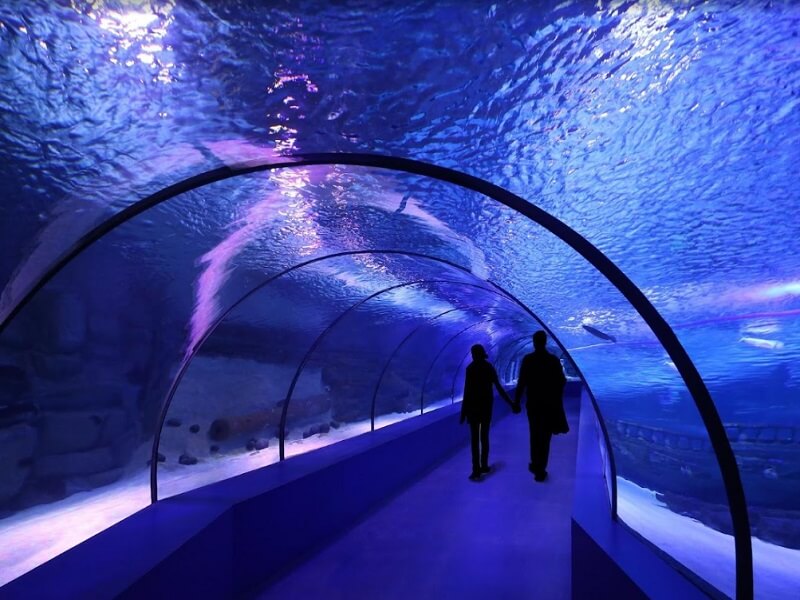 konyaalti aquarium