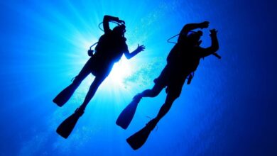 Discover Underwater Beauties with Scuba Diving in Bodrum